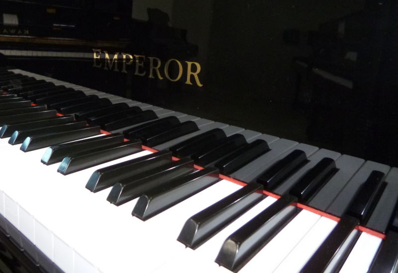 株式会社ピアノプラザ | EMPEROR MY-707E(1870)