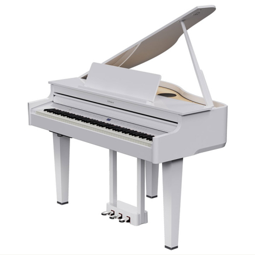 株式会社ピアノプラザ | ローランド 電子ピアノ | ROLAND GP-6PWS