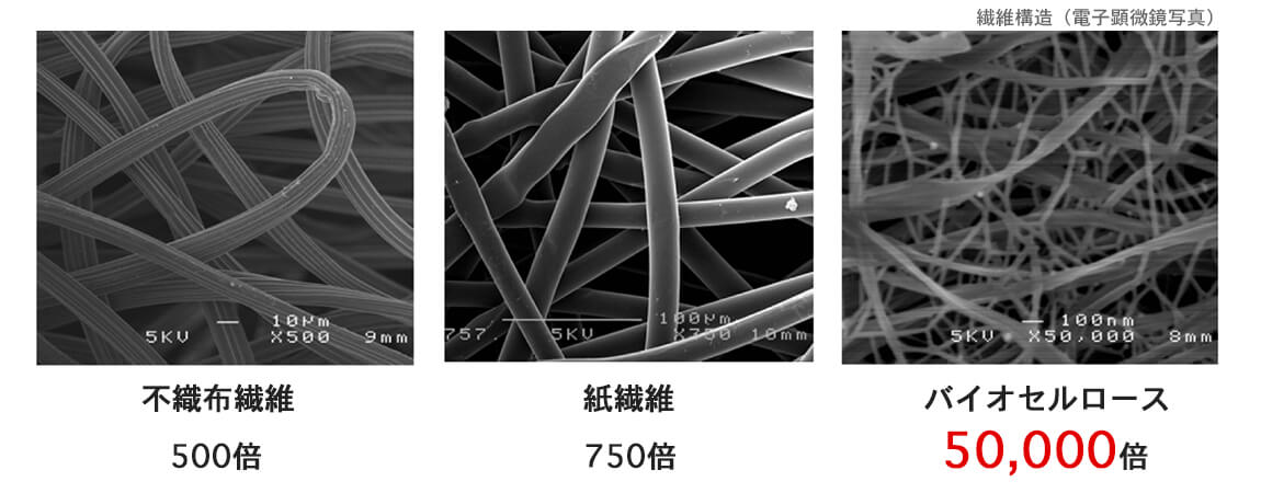 Mask – ピュールビオ