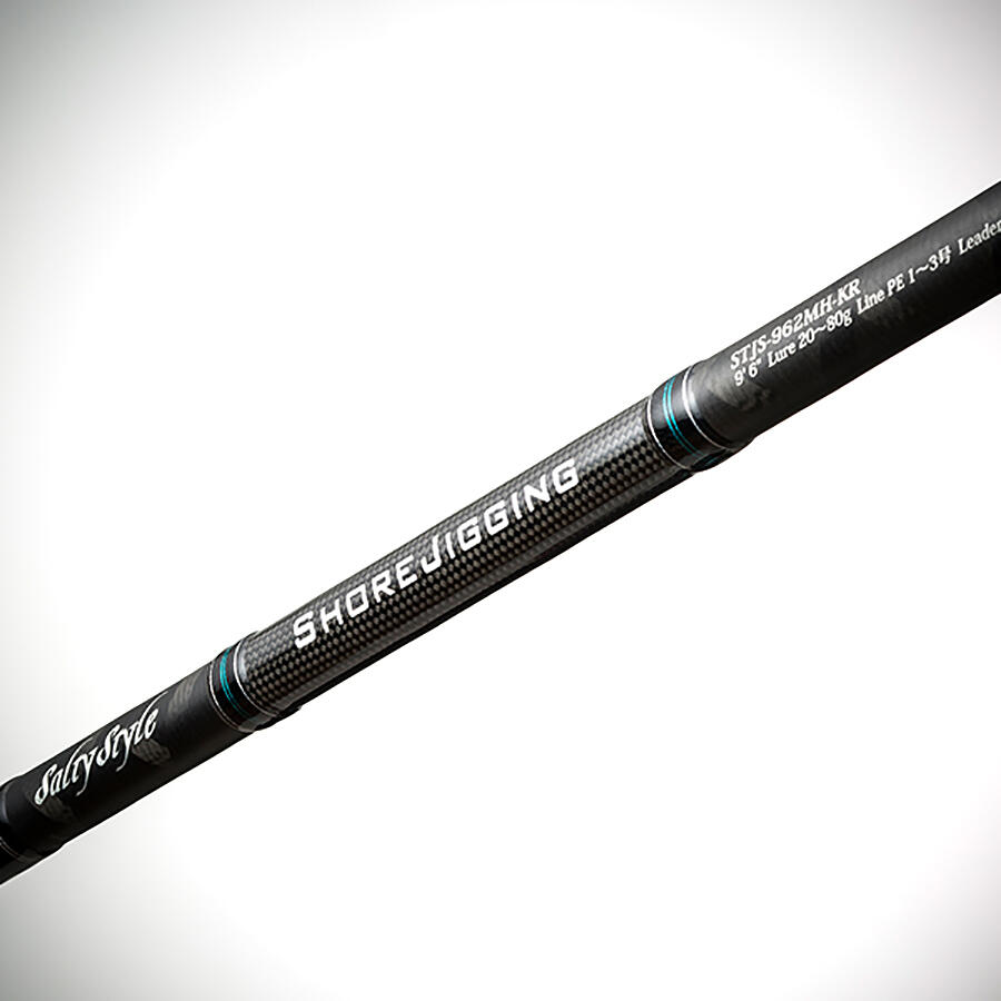 Salty Style Shore Jigging (ソルティースタイルショアジギング