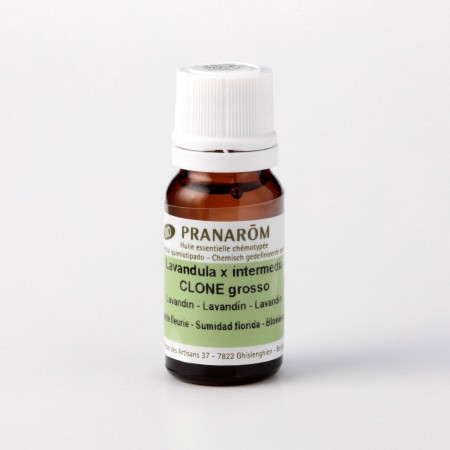 ラベンダー・グロッソ – プラナロム エッセンシャルオイル・精油｜健草