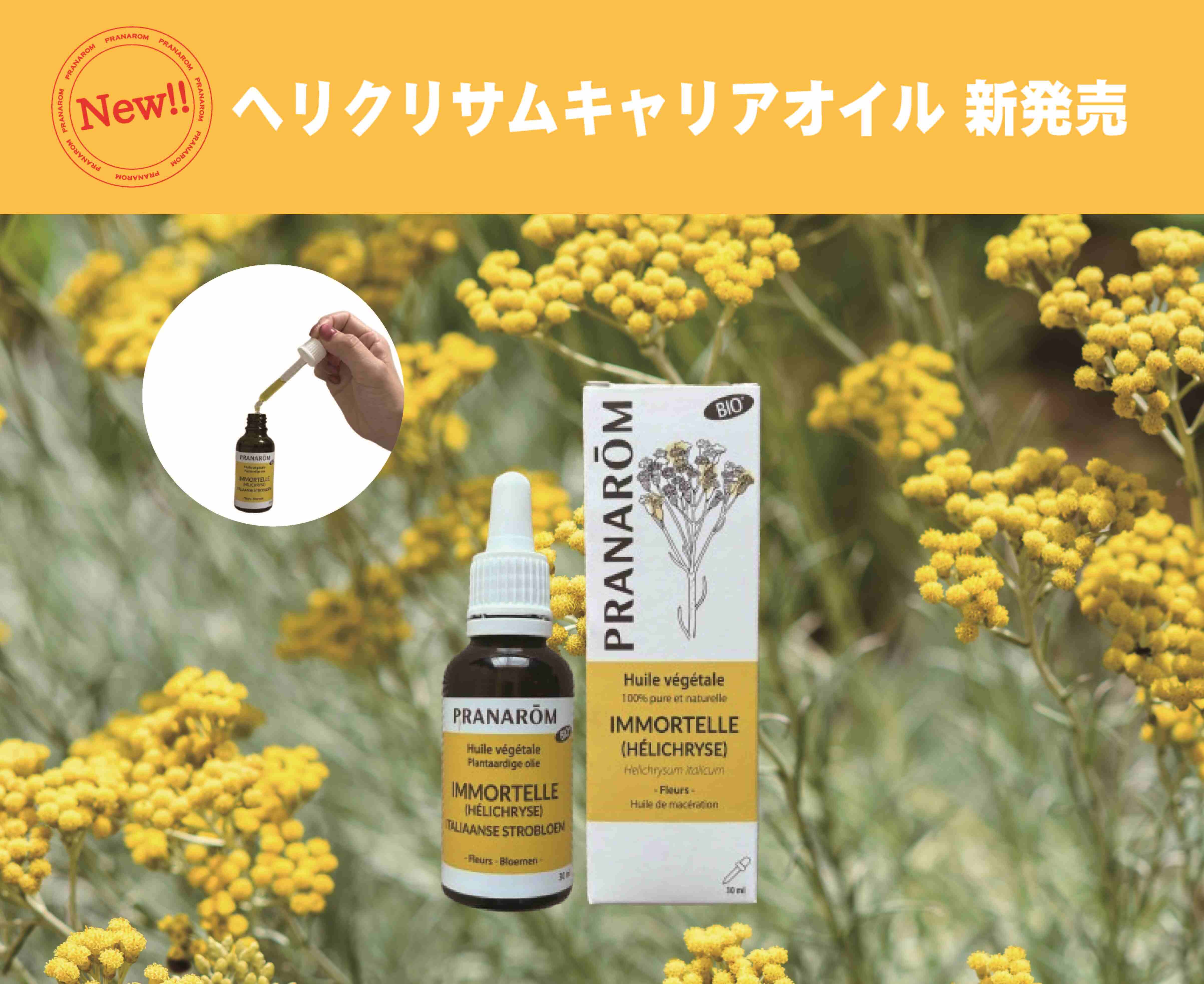 ヘリクリサムキャリアオイル新発売 – プラナロム エッセンシャルオイル