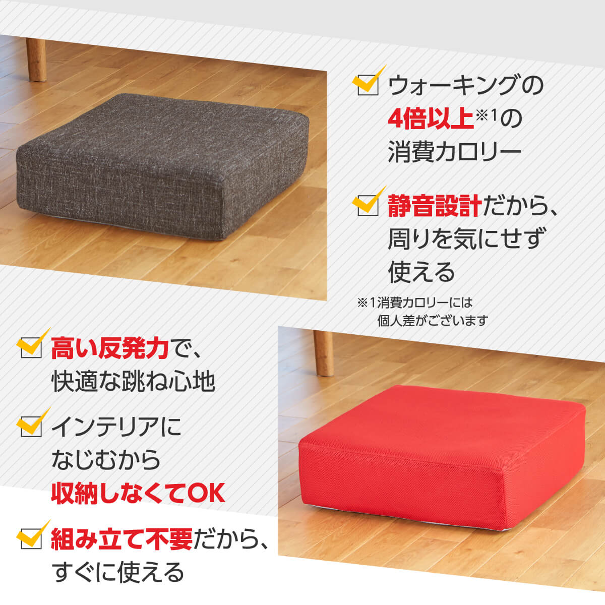 シェイポリン ロコックス トランポリン運動 クッション | TV