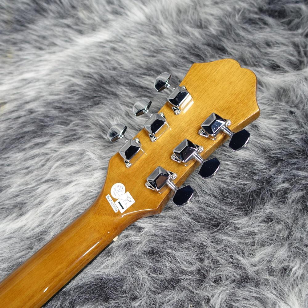 Epiphone DR-100 アコースティックギター Epiphone（エピフォン） アコースティックギター Epiphone DR-100