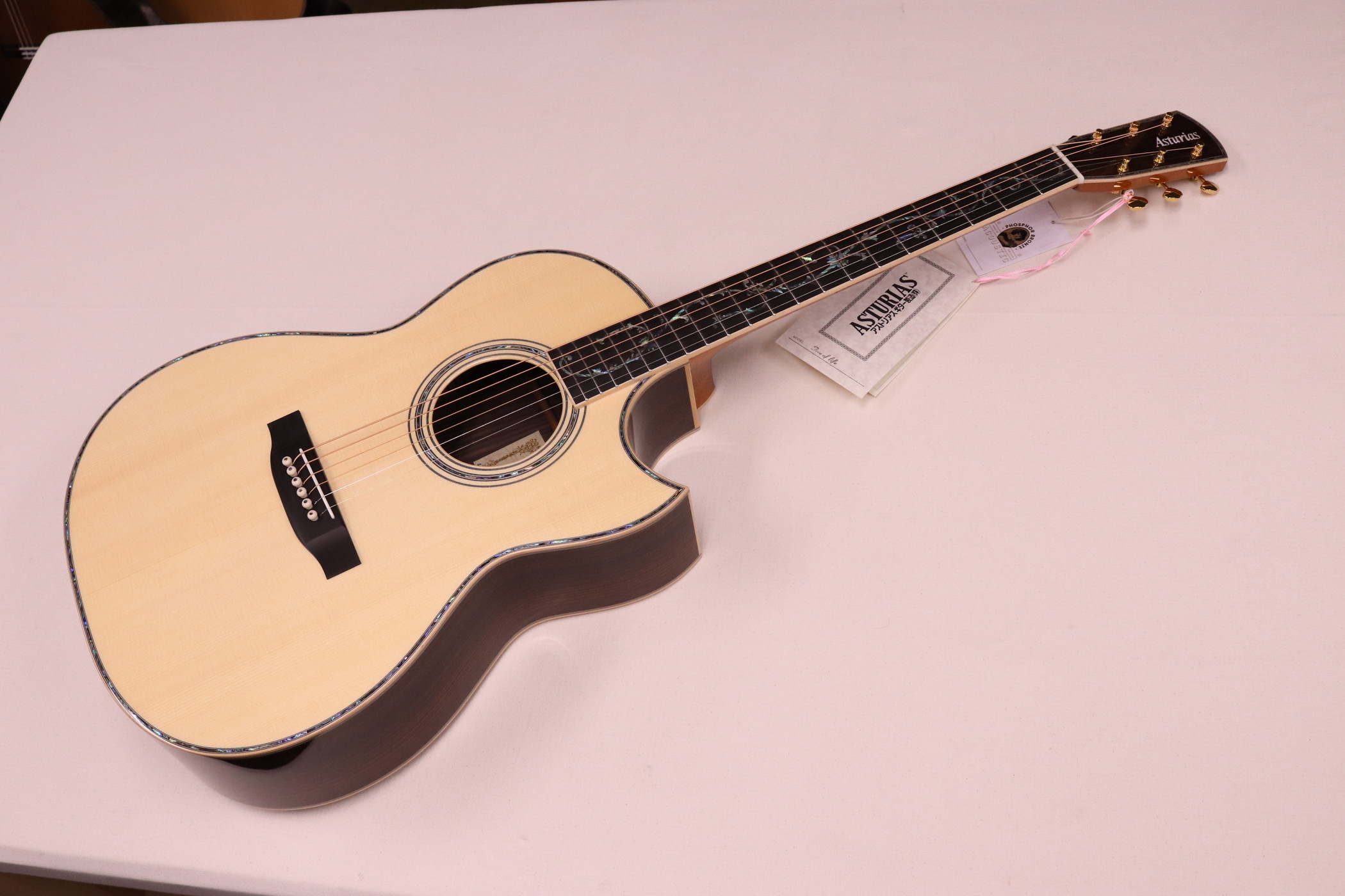 ASTURIAS アストリアス ツリーオブライフ | ギター・バイオリン