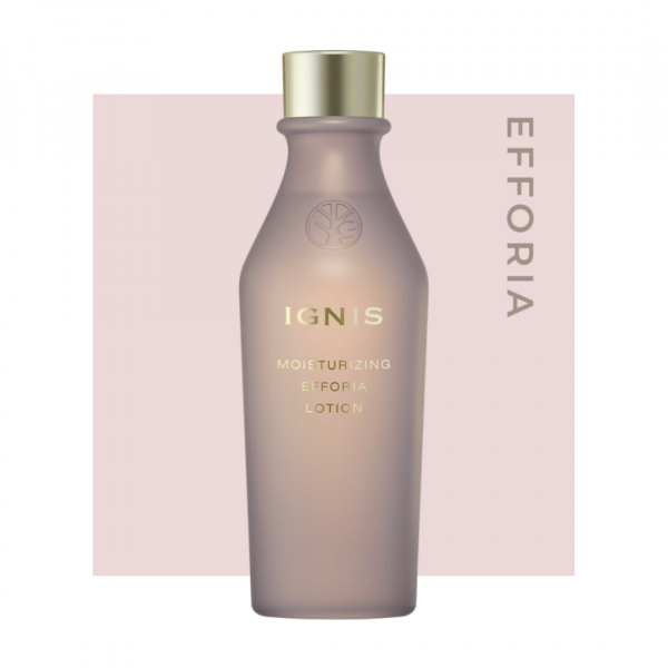 イグニス】エフフォーリア限定キット発売☆ | BLOG | ローズマリー