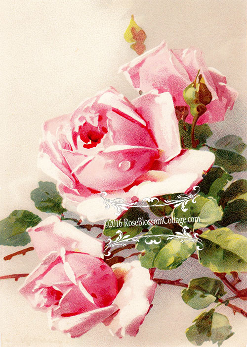 rose pink絵画3点 Pink Rose Flower Botanical Art Prints - Set of