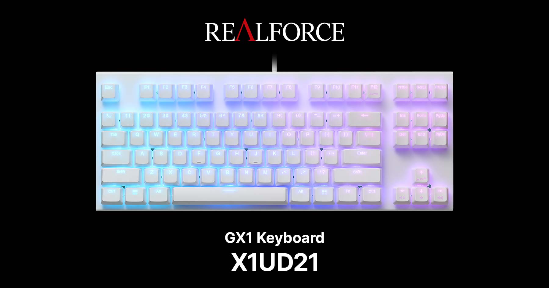 Realforce GX1 X1UC21 日本語配列 45g ホワイト 製品 : REALFORCE