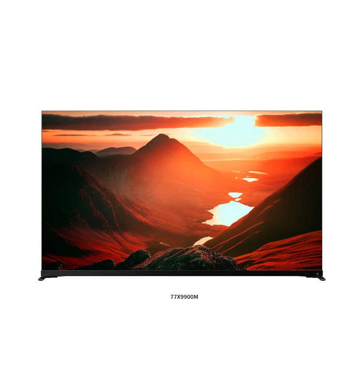 美品REGZA55型X9900M 55X9900M タイムシフトマシン搭載4K有機ELレグザ REGZA 画面サイズ55V