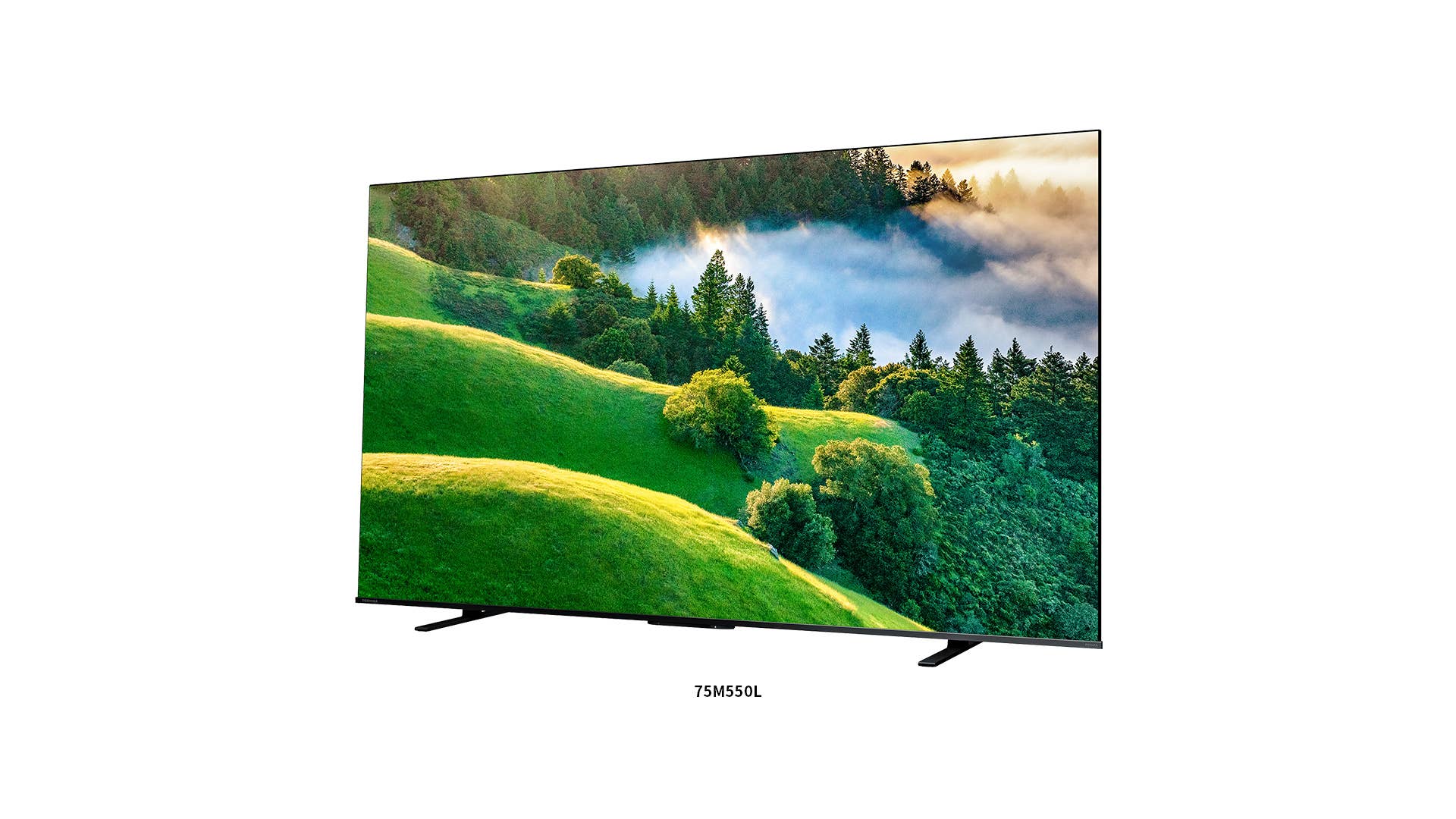 COLPRO　REGZAレグザ　４Ｋ液晶テレビ　55Ｍ550Ｌ　55インチ REGZA（レグザ） 55M550L 4K液晶TV REGZA（レグザ)【55V型/4K