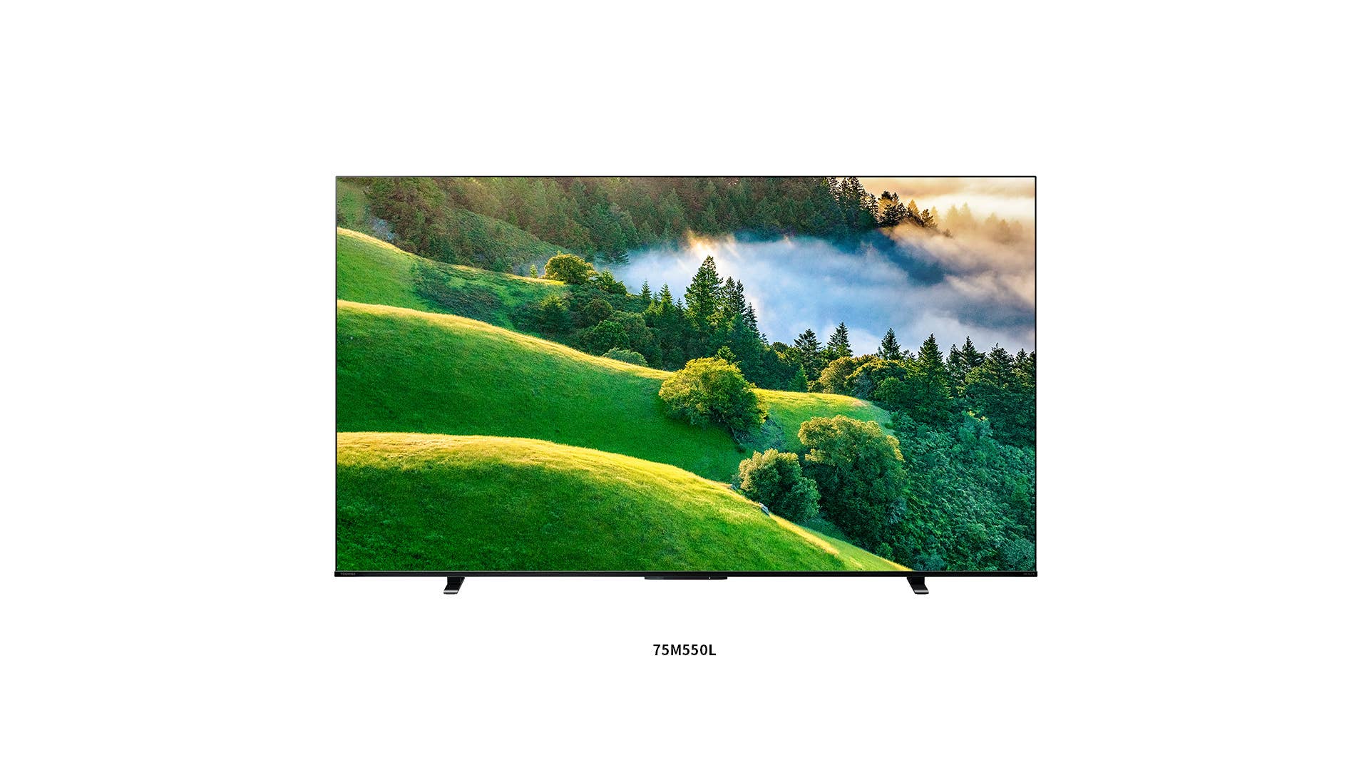 REGZA 43V型 M550L 4K液晶テレビ 4K液晶レグザ「M550L」に55/50/43型追加。約11万円から - AV Watch