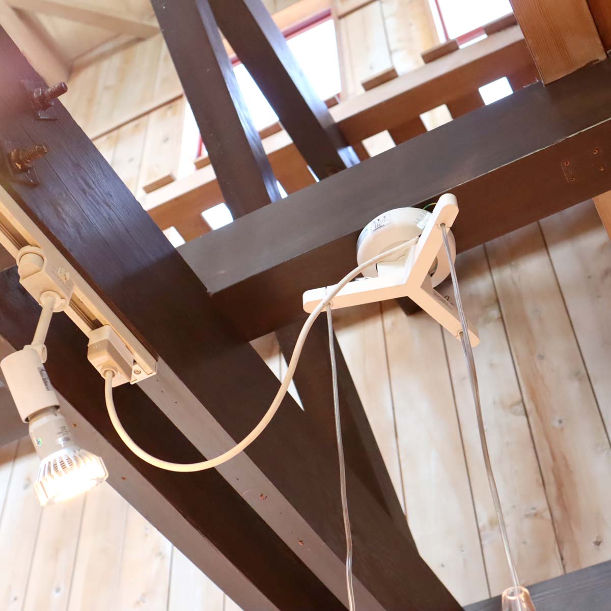 フロス/FLOS｜フーシア/FUCSIA ペンダントライト 3灯 アッキーレ