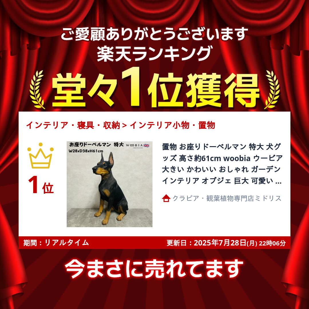 楽天市場】犬 置物 大きい お座りドーベルマン 特大 グッズ 高さ約61cm