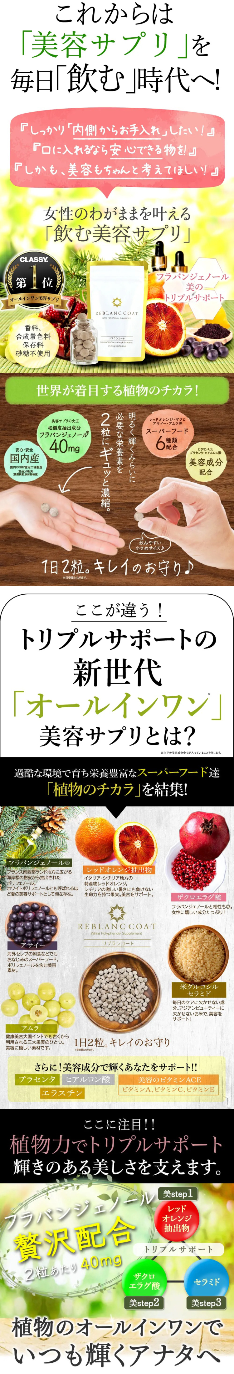 REBLAN COAT 250mg×60粒✖️3 飲む日焼け止め REBLAN COAT 250mg×60粒