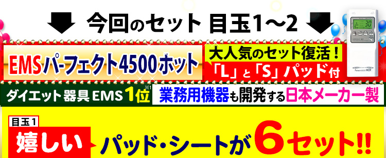 干渉波EMS機器パーフェクト4500HOT 新型温熱対応ベルト付き