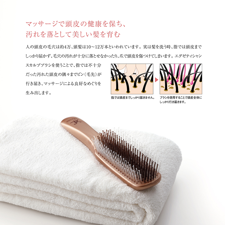 楽天市場】エックスワン X-one XLUXES エグゼティシャン スカルプ