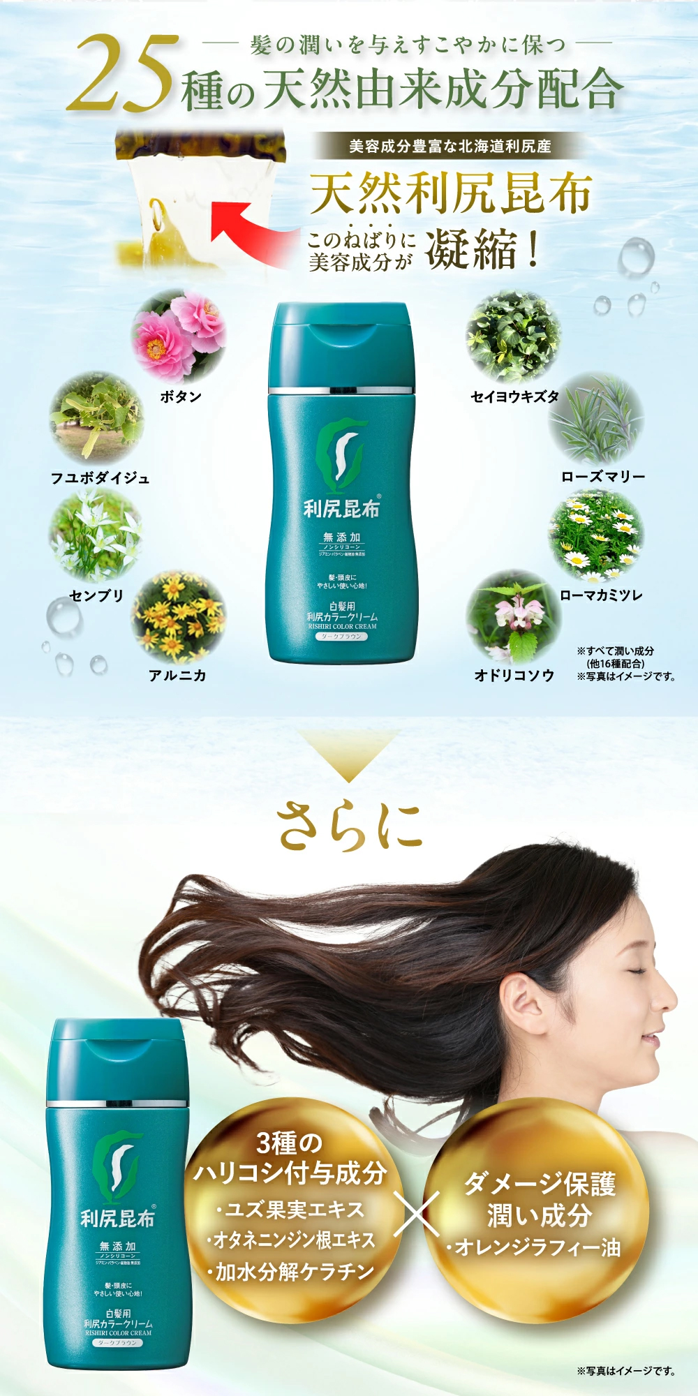 楽天市場】【2/25限定 P5倍 & 送料無料】白髪用 利尻カラークリーム