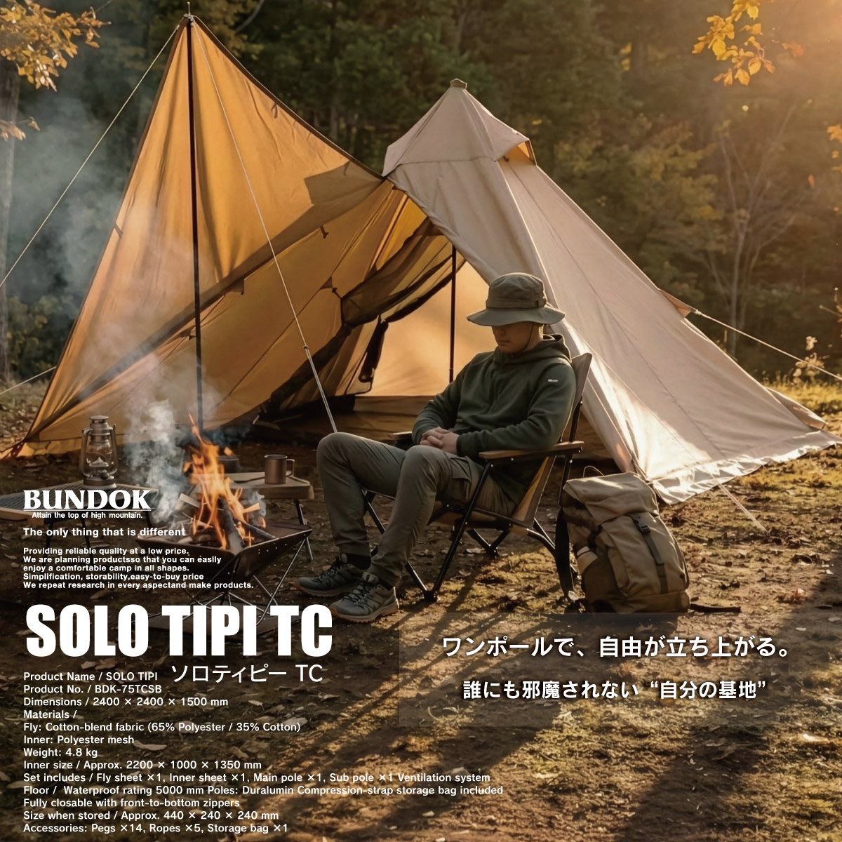 楽天市場】【在庫処分】【訳あり】【特価品】【送料無料】ソロティピー