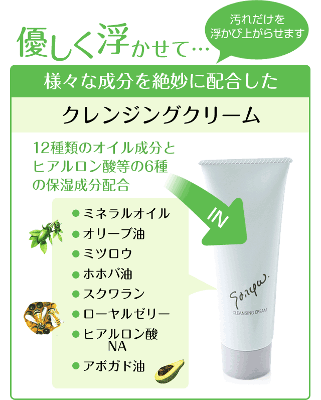 楽天市場】[初回限定！送料無料！]＼LINE300円クーポン／洗顔