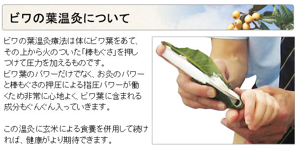 三栄商会のビワの葉温灸 ビワの葉温灸ツボの本（1冊）（望月 研） 三栄商会 : PURE・HEART 自然