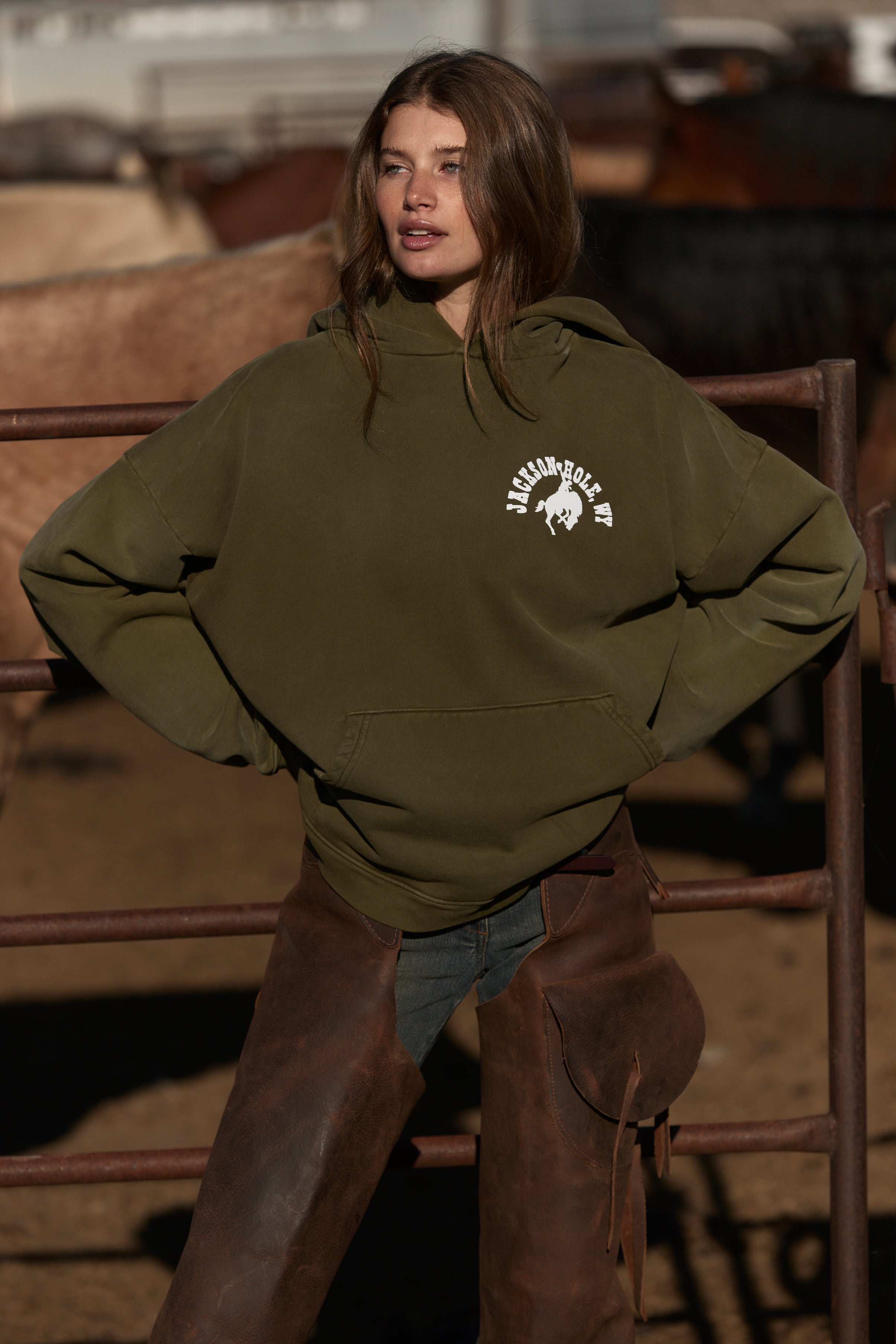 Classic Sweatshirt | Jackson Hole hoodies – Diamond Cross Ranch
