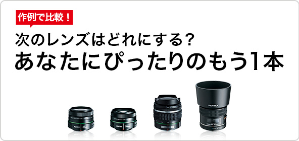 smc PENTAX-FA645 80-160mmF4.5 / 望遠レンズ / 645マウントレンズ