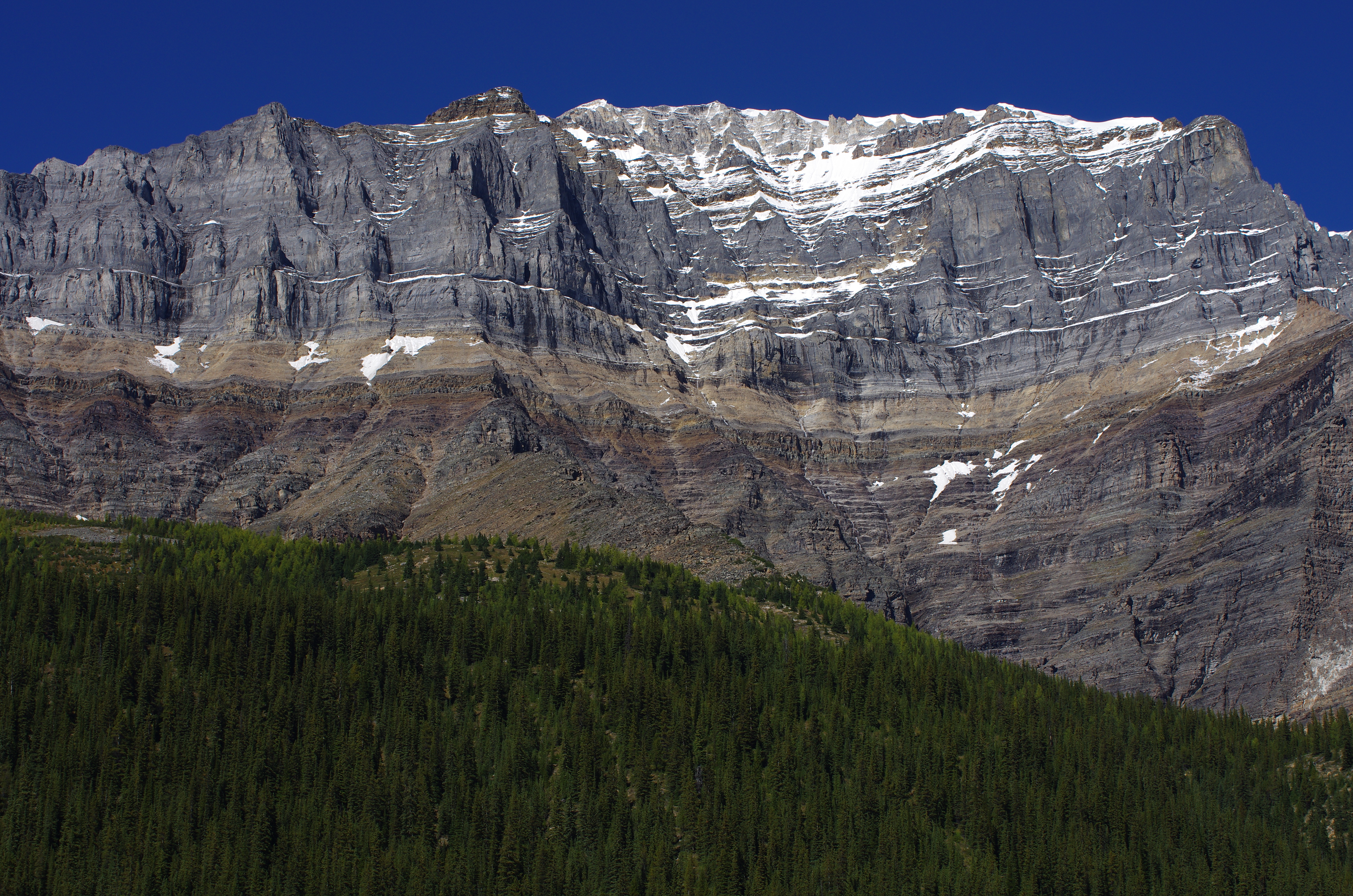 smc PENTAX-DA☆50-135mmF2.8ED[IF] SDM / Telephoto Lenses / K-mount