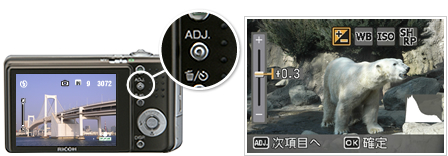 Caplio R6 / 製品 | RICOH IMAGING