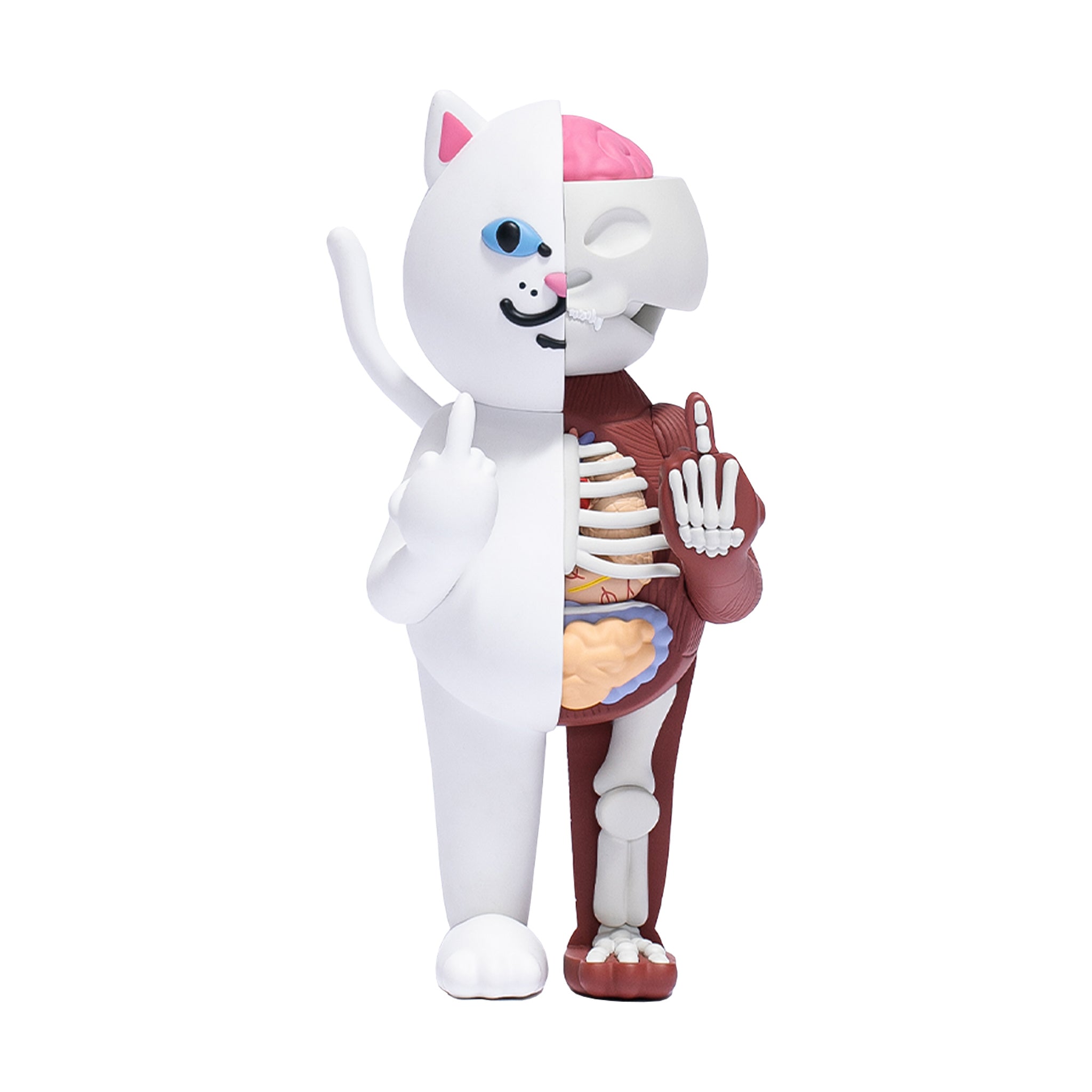 anatomy_0007_RIPNDIP-TOY-2.jpg