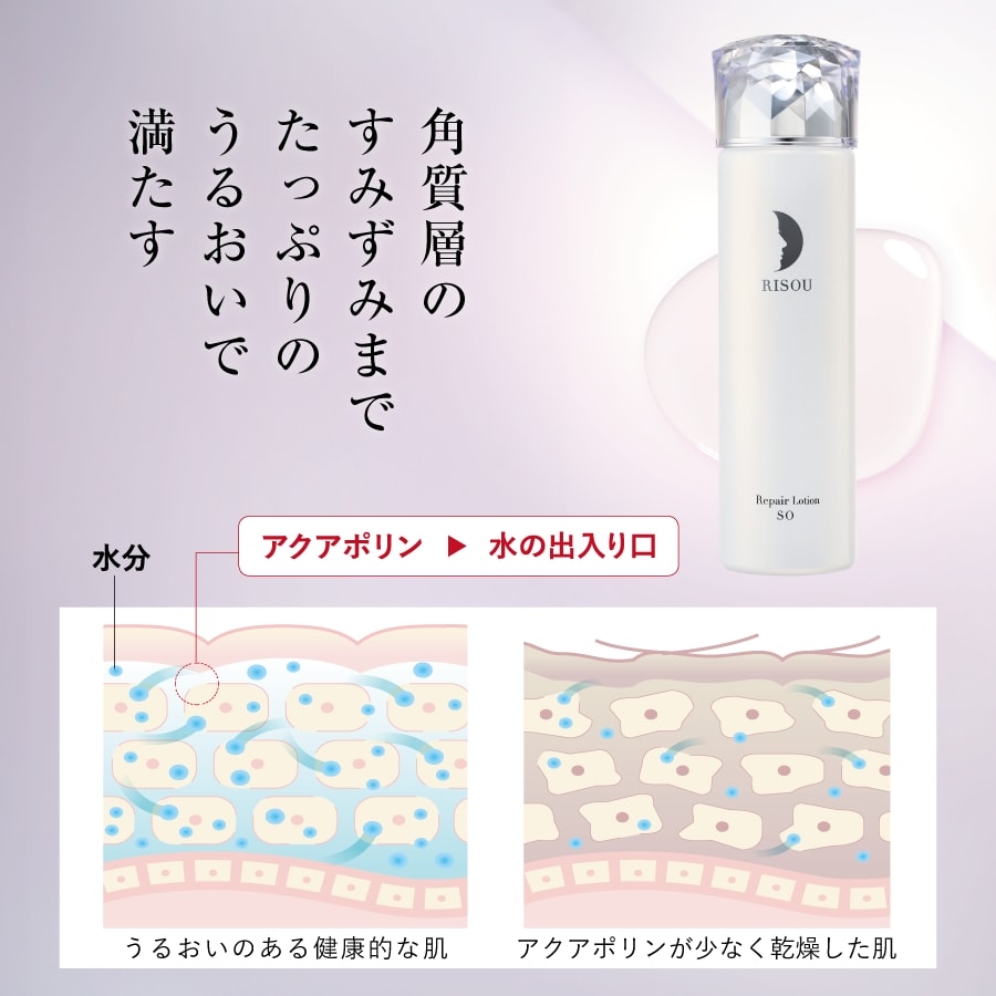 公式】リペアローション SO｜基礎化粧品はリソウ