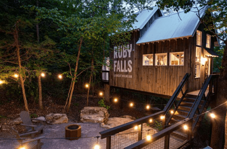 自然に驚こう：ルビーフォールズの夏