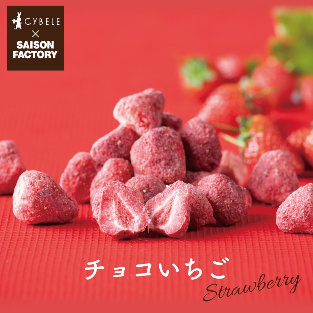 チョコいちご5本セット