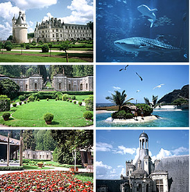 家庭用検査器機 “OPUS-F”｜製品情報｜眼科医療機器ワック（眼精疲労