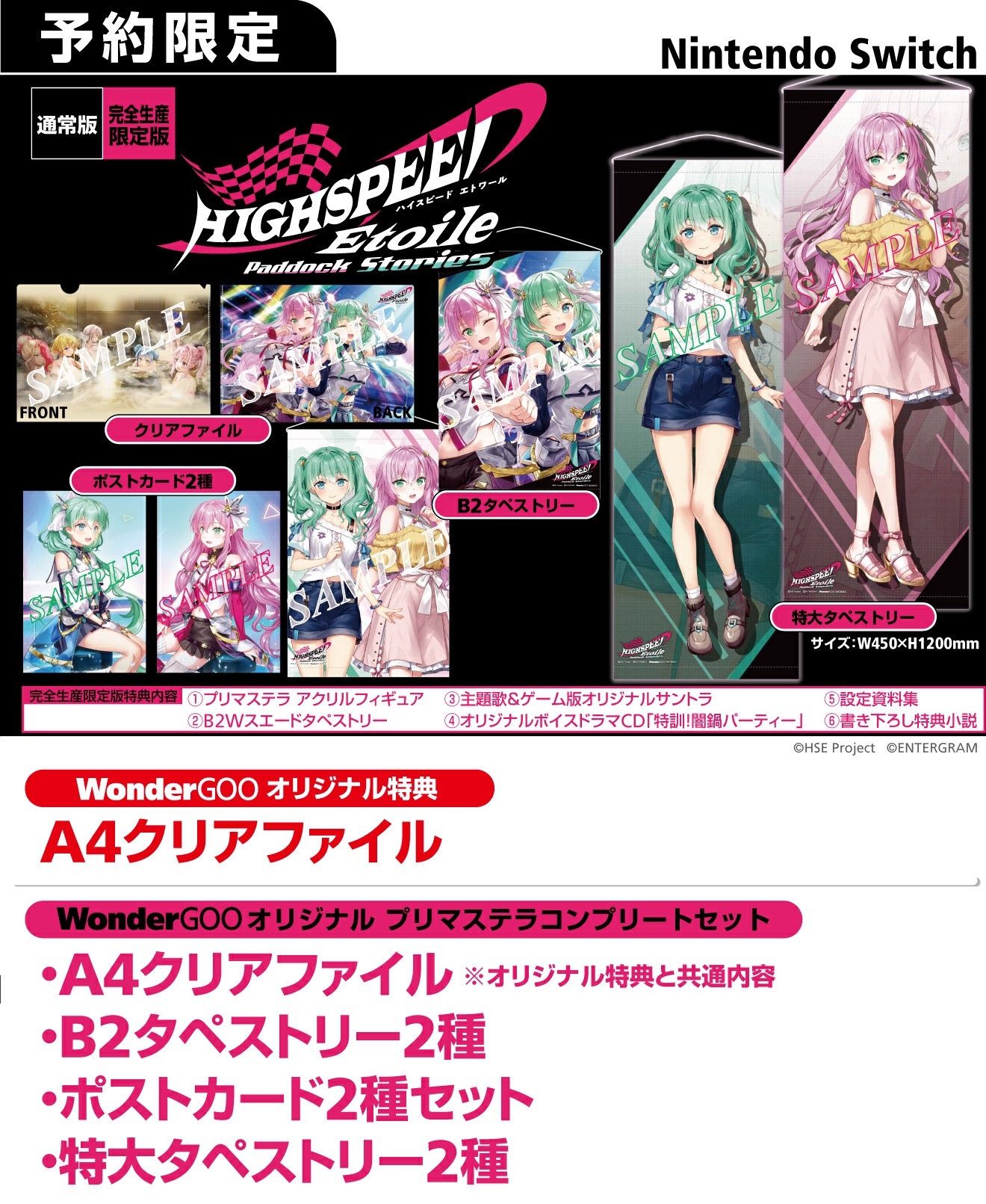 Nintendo Switch ハイスピードエトワール パドックストリーズ【限定