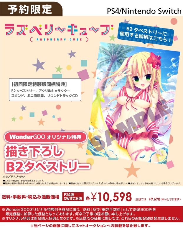 Nintendo Switch/PS4 ラズベリーキュ―ブ 初回限定特装版【オリ特】描き