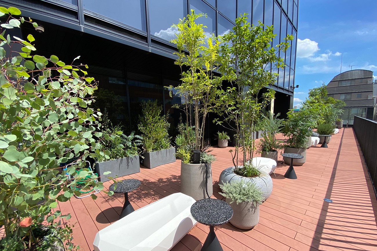 エキスパートオフィス大宮 『テラス外構植栽』 | 日比谷花壇の法人向け