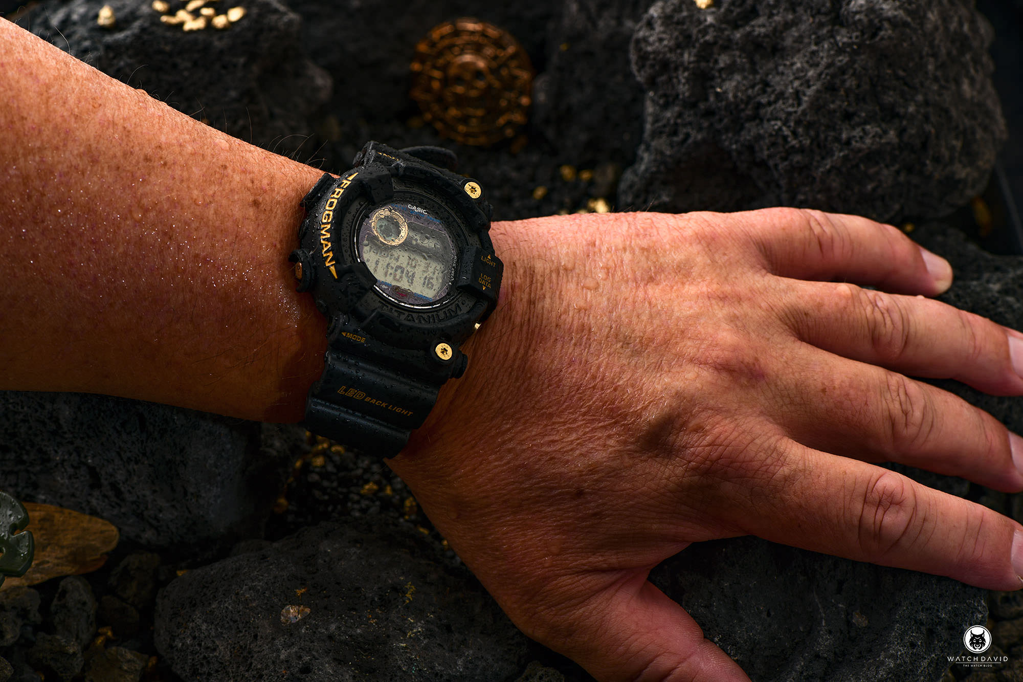 Casio G-SHOCK Frogman GW-8230B-9AER Review