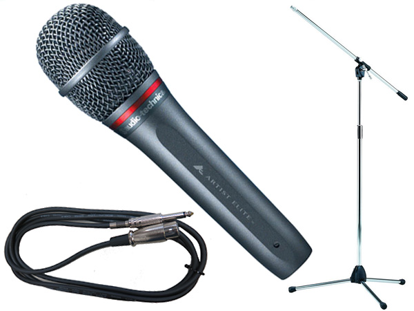 audio-technica オーディオテクニカ AE6100 TAMAシルバーマイク