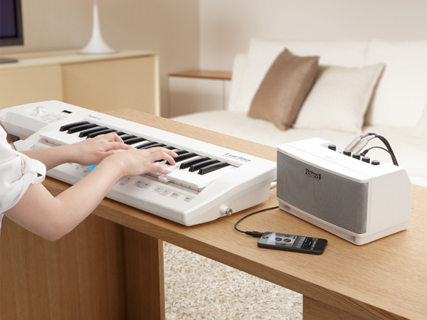 Roland ローランド CUBE Lite MONITOR ( CUBE-LM ) キューブライト