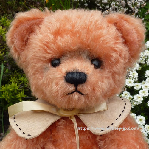 ディーンズ teddy chipper テディハリス テディベアオブウィットニー