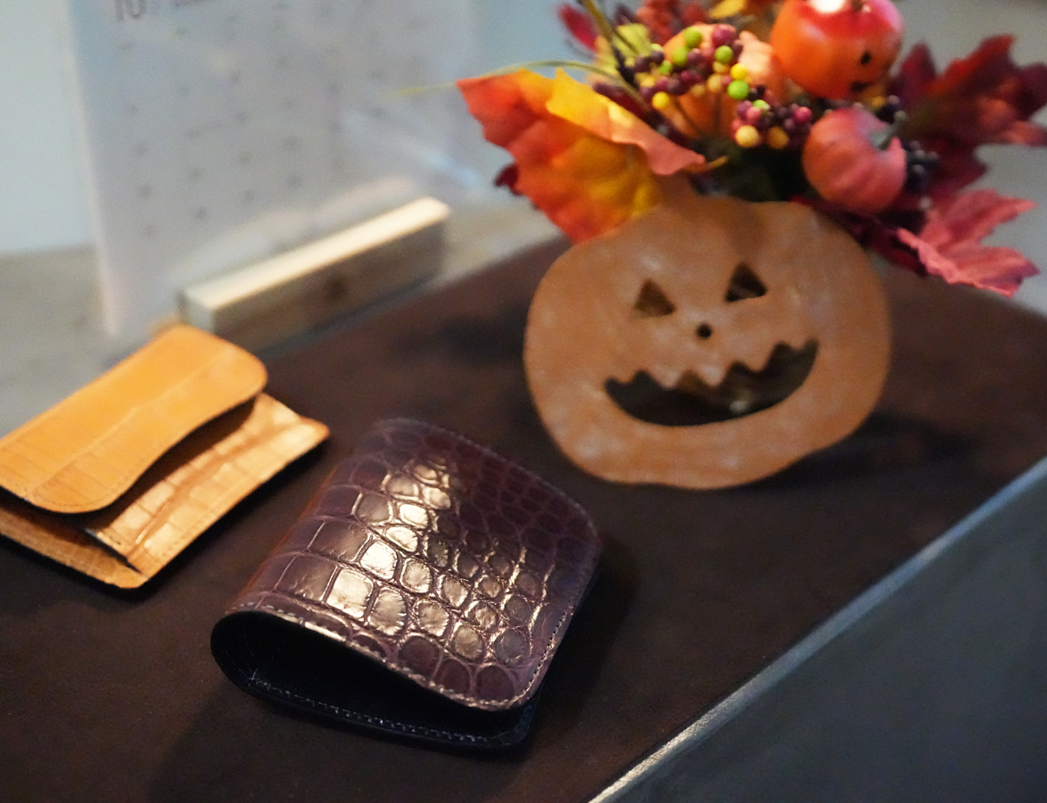 WILDSWANS銀座店からのご案内～クロコダイル編～ | WILDSWANS(ワイルド