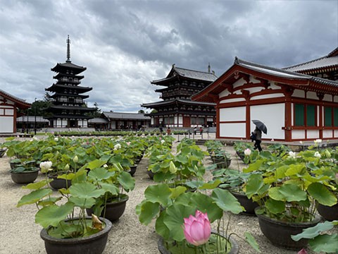 今も動いている薬師寺～1300年の歴史」｜イベント・展示会｜ブログ