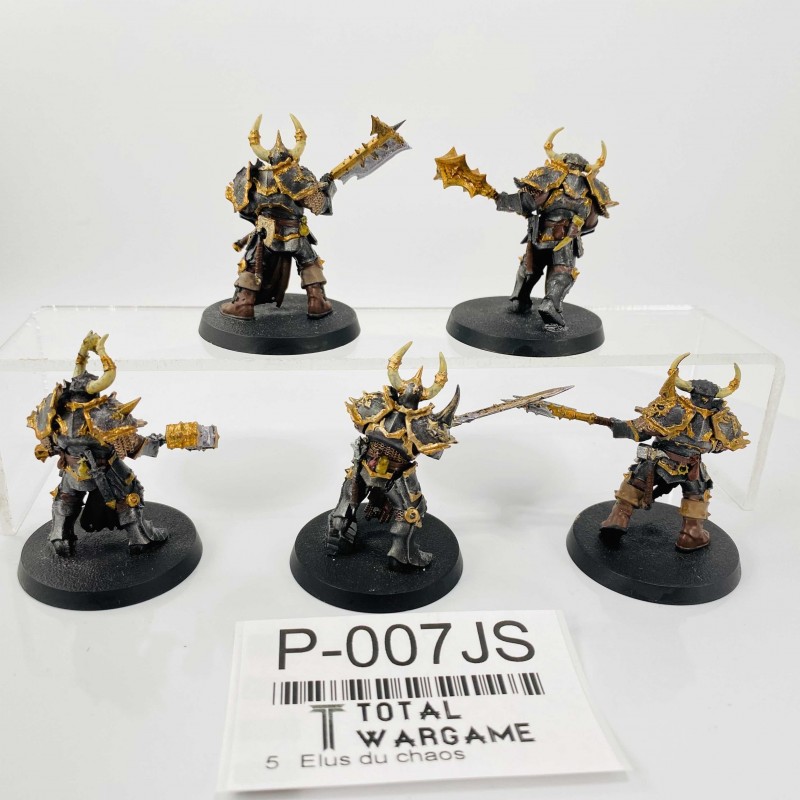 Chosen - Total War: WARHAMMER Wiki 2箱分 Warhammer AOS Chaos Chosen