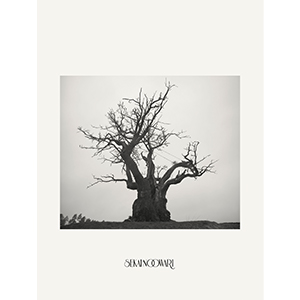 SEKAI NO OWARI | TOY'S FACTORY