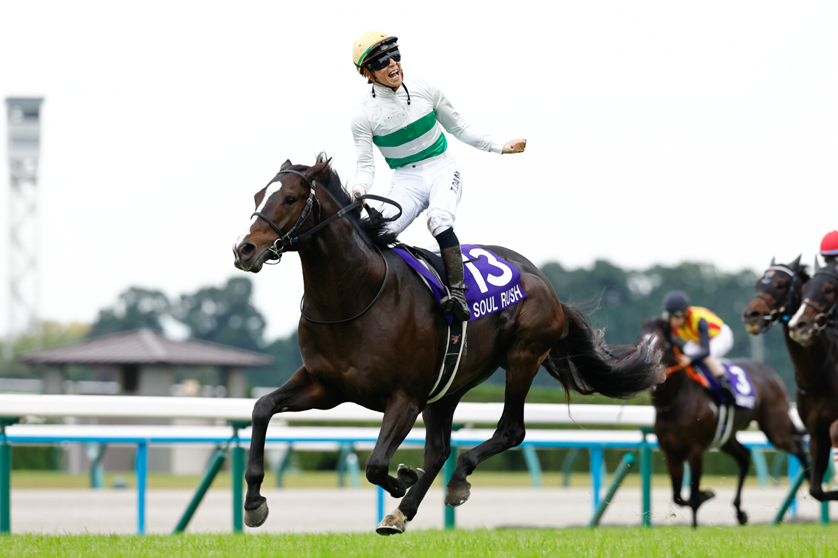 ソウルラッシュが7回目の挑戦でGⅠ(G1)初制覇(第41回マイル