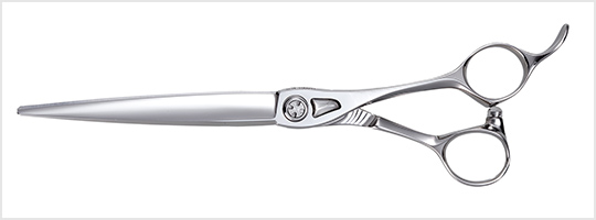 シャークスプレッド／キングスプレッド - TOGINON