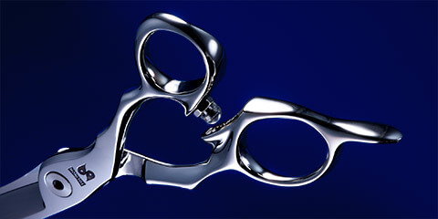 シャークスプレッド／キングスプレッド - TOGINON