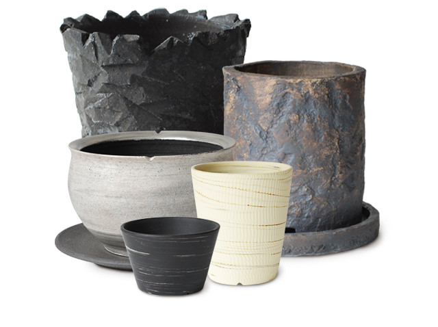 TOKYについて | 多肉植物・特別な鉢の販売 | トーキー | TOKY