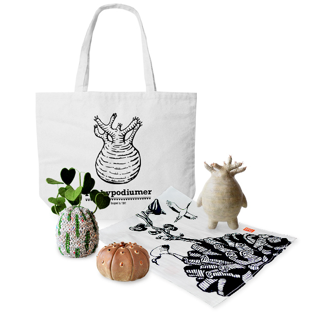 TOKYについて | 多肉植物・特別な鉢の販売 | トーキー | TOKY