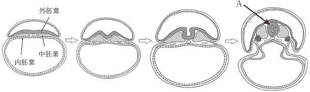 過去問と解答 第114回看護師国家試験(2025年2月実施)｜看護師国家試験